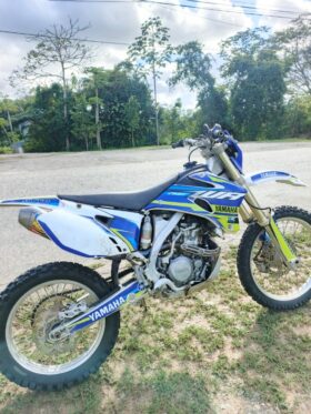 2007  Enduro Yamaha WR 250cc 4T